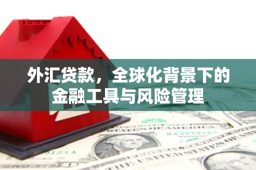 边坝外汇贷款，全球化背景下的金融工具与风险管理