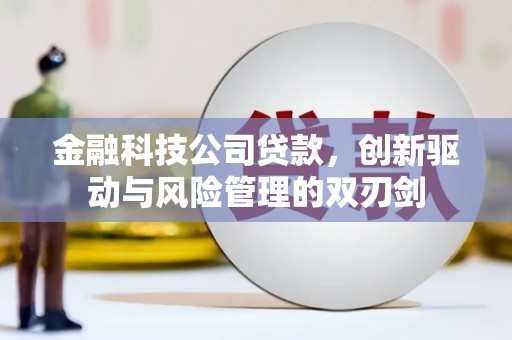 凤凰金融科技公司贷款，创新驱动与风险管理的双刃剑